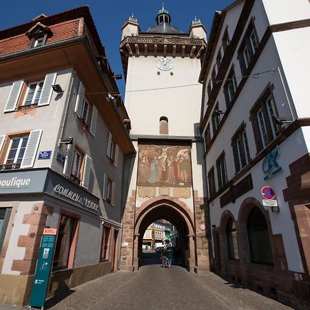 Ferienwohnung LE RHENANUS Jacques Spiegel Sélestat Exterior foto