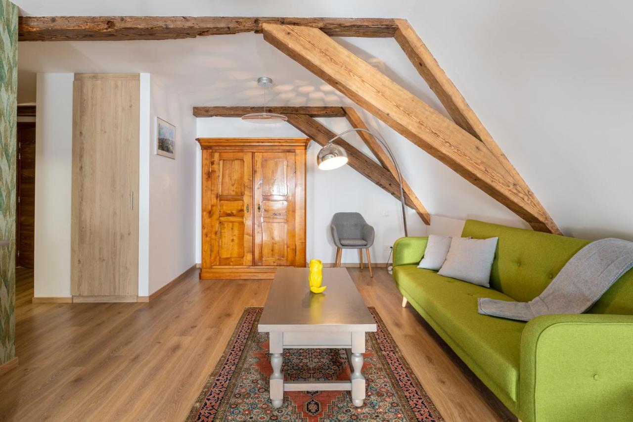 Ferienwohnung LE RHENANUS Jacques Spiegel Sélestat Exterior foto