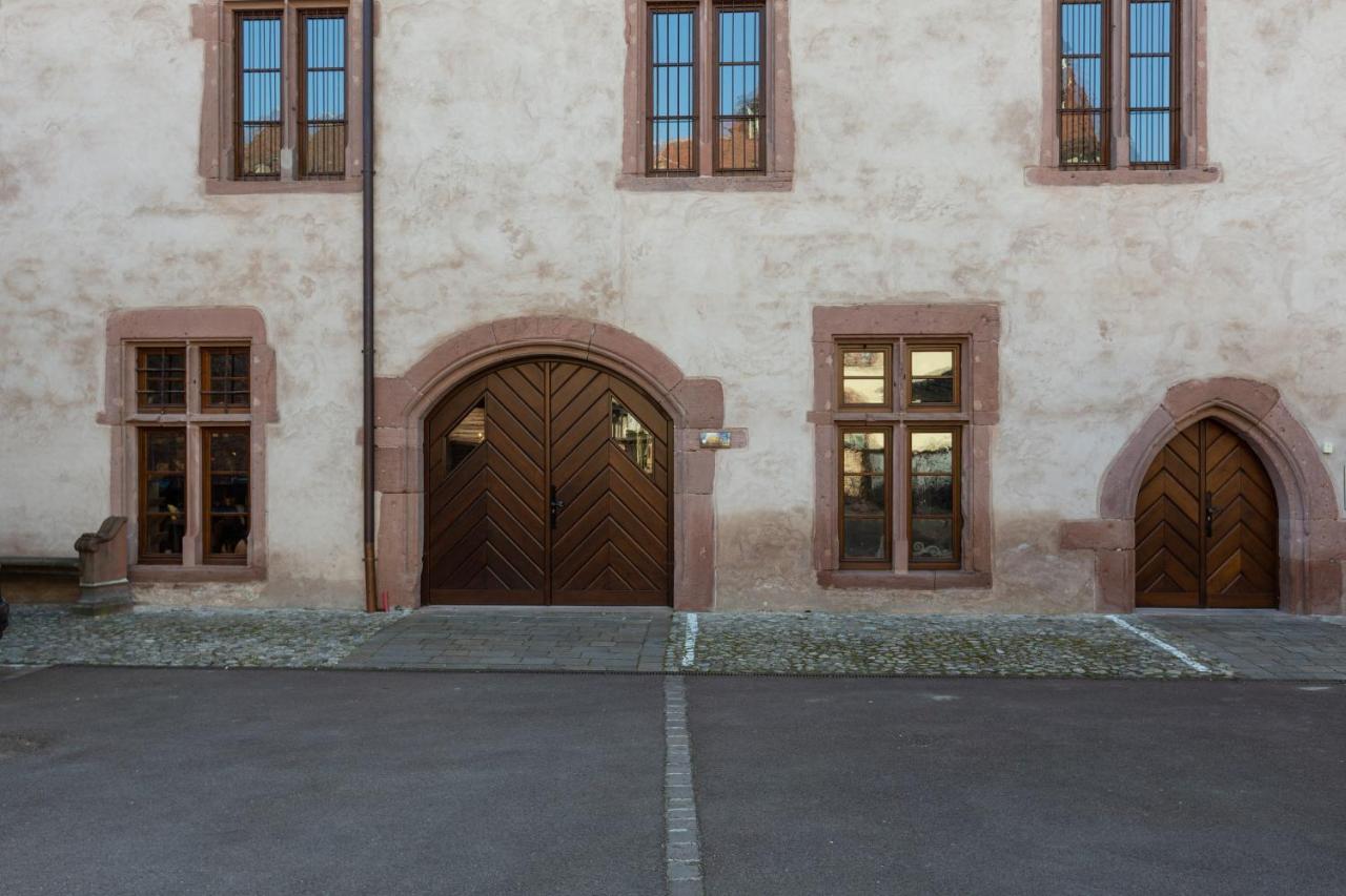 Ferienwohnung LE RHENANUS Jacques Spiegel Sélestat Exterior foto