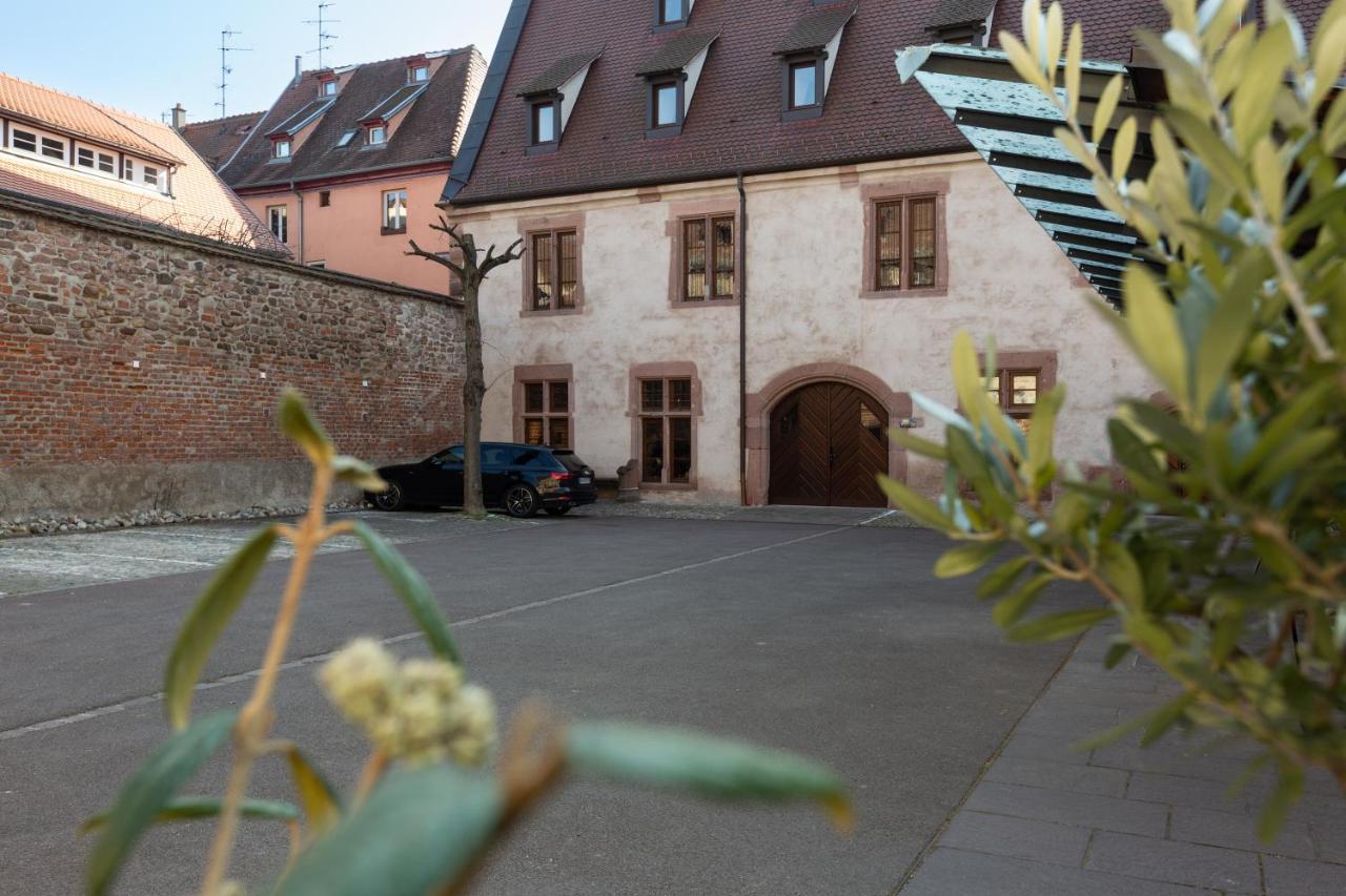 Ferienwohnung LE RHENANUS Jacques Spiegel Sélestat Exterior foto